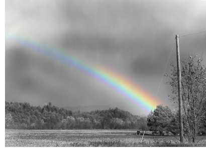 black-and-white-rainbow